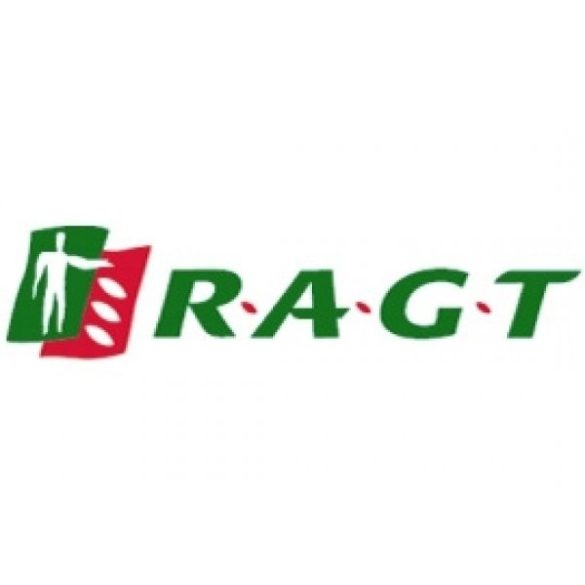 RGTDRAGSTER